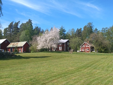 Villa i Glanshammar, Örebro, Balsna 427
