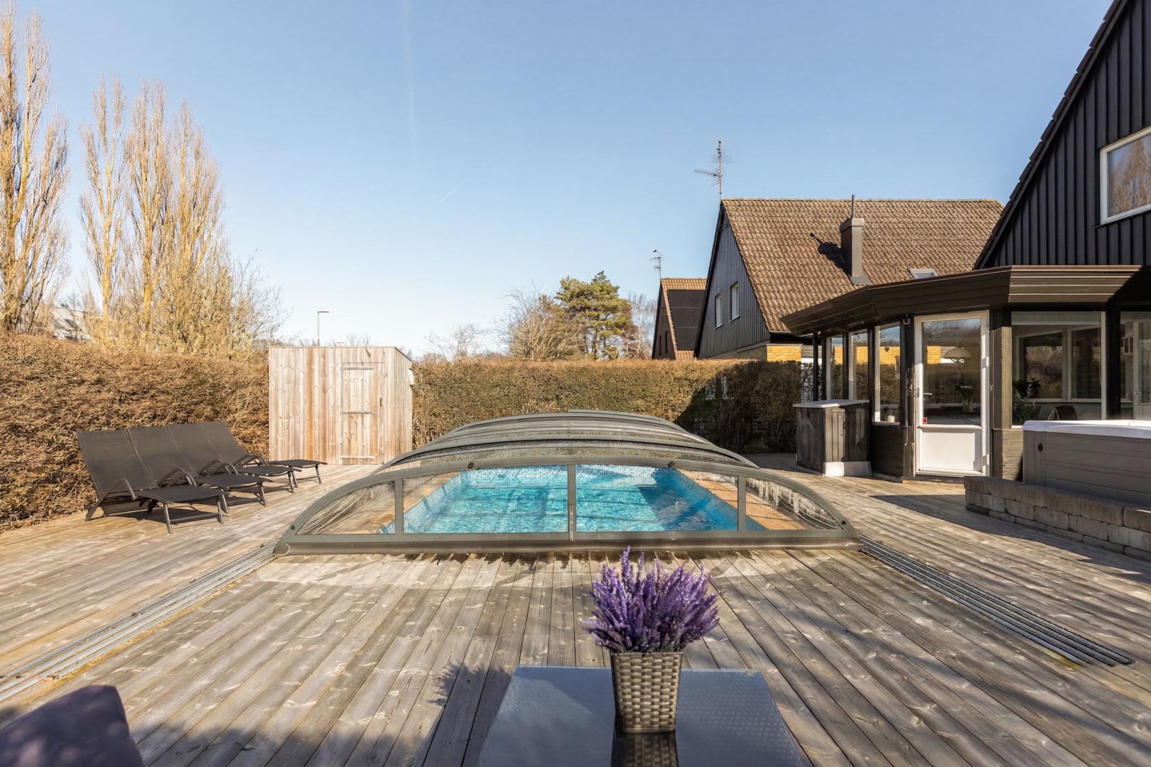 31