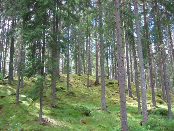 Gods och gårdar i Gusselby, Lindesberg kommun, Sverige, Aspa