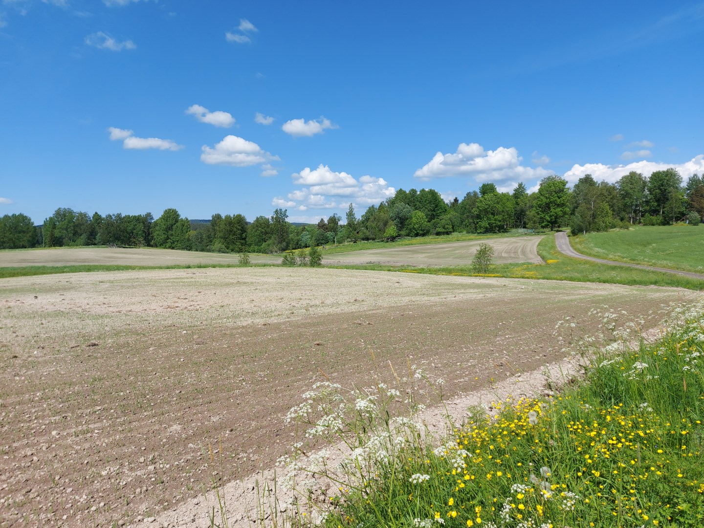 Tomt i Löa, Lindesberg kommun, Sverige, Löa, Sörsjön