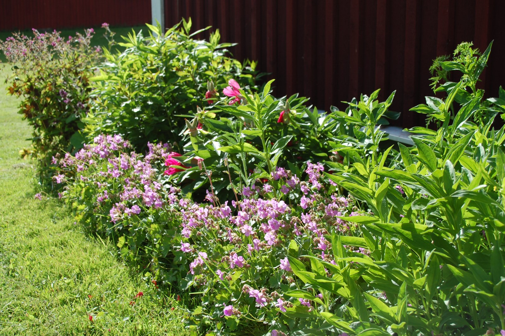 21