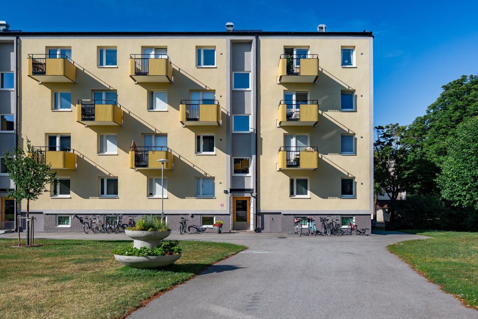 26