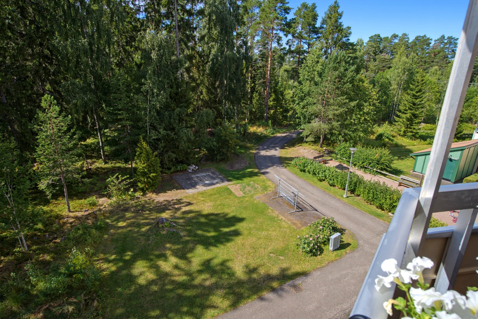 31