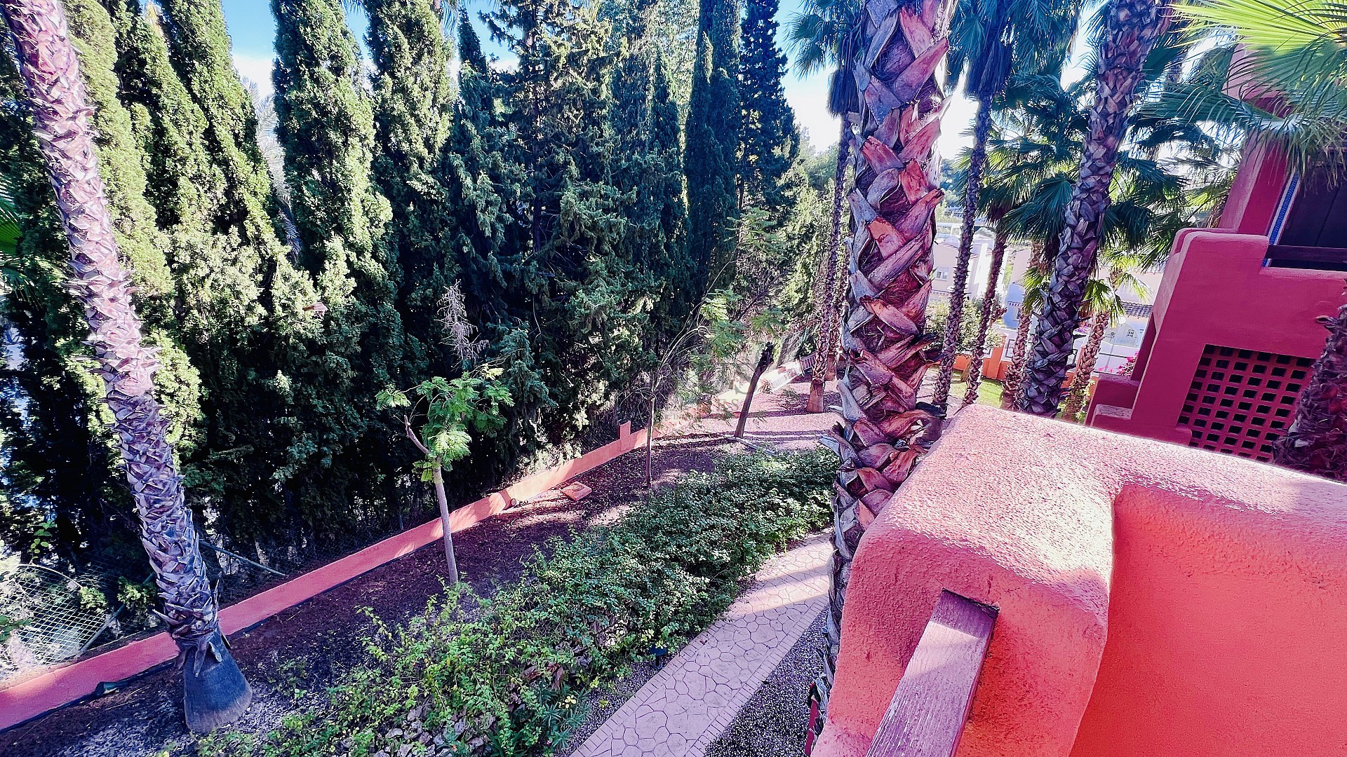 29
