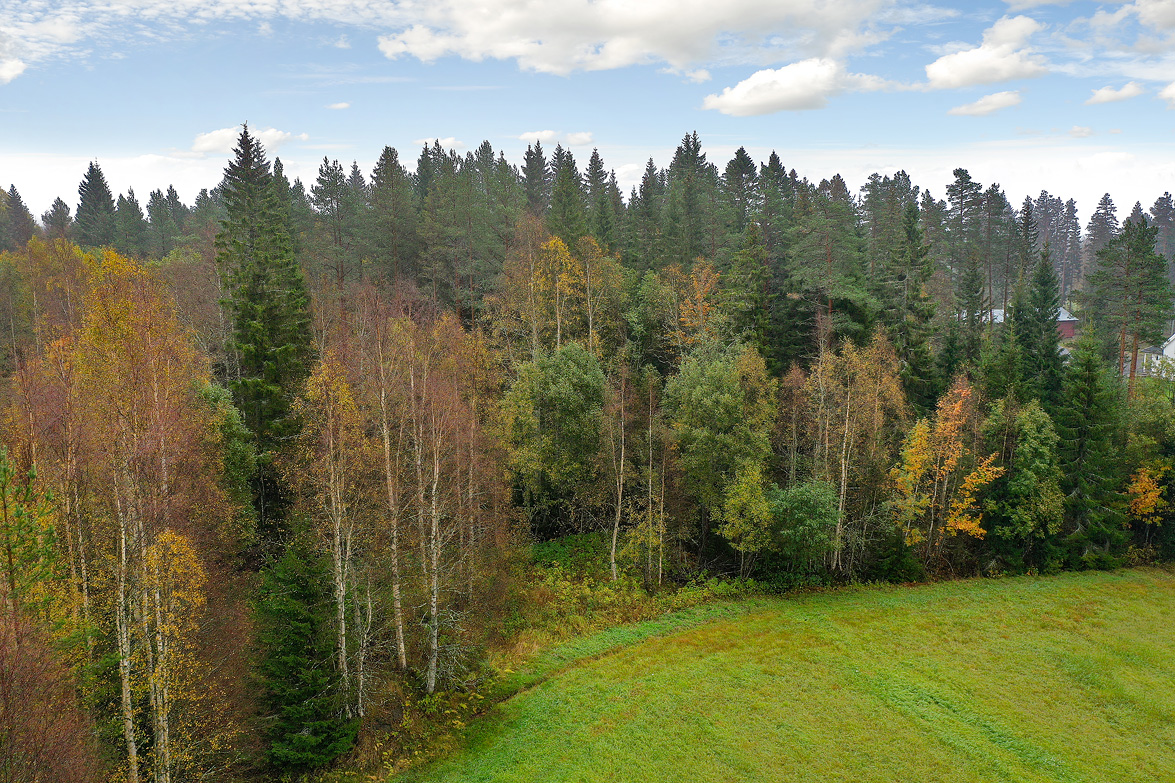 Tomt i Sävar, Umeå kommun, Sverige, Granvägen 7G