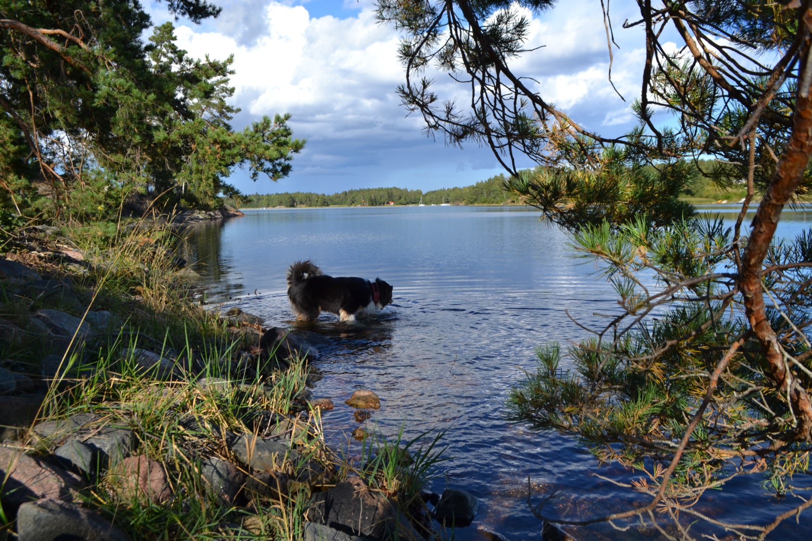 Tomt i Rosättra, Norrtälje kommun, Sverige, Segelbåtsvägen 7