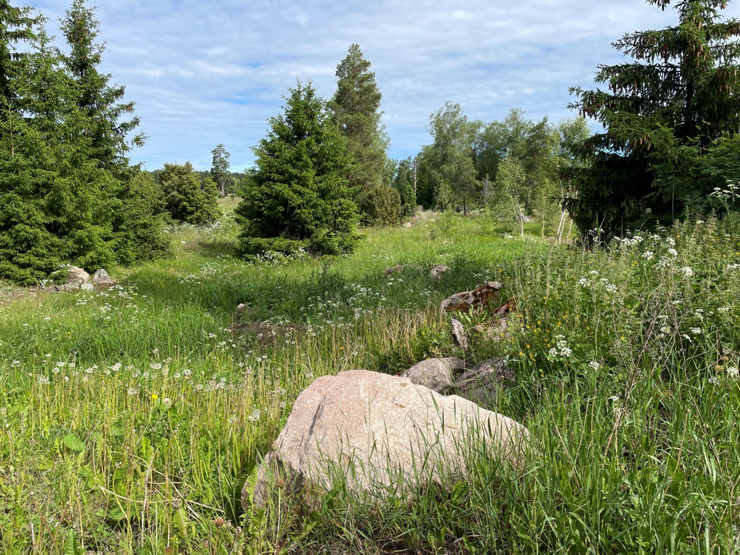 Tomt i Börje, Uppsala kommun, Sverige, Katrineberg 54