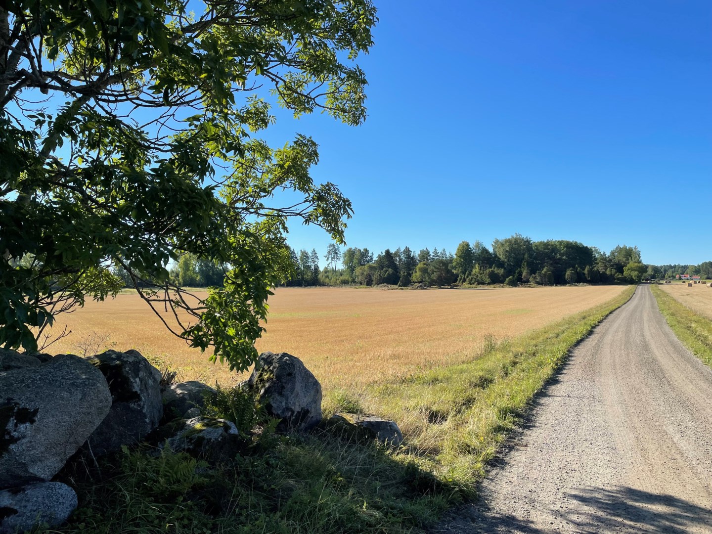 Tomt i Storvreta/Ärentuna, Uppsala kommun, Sverige, Fjuckby