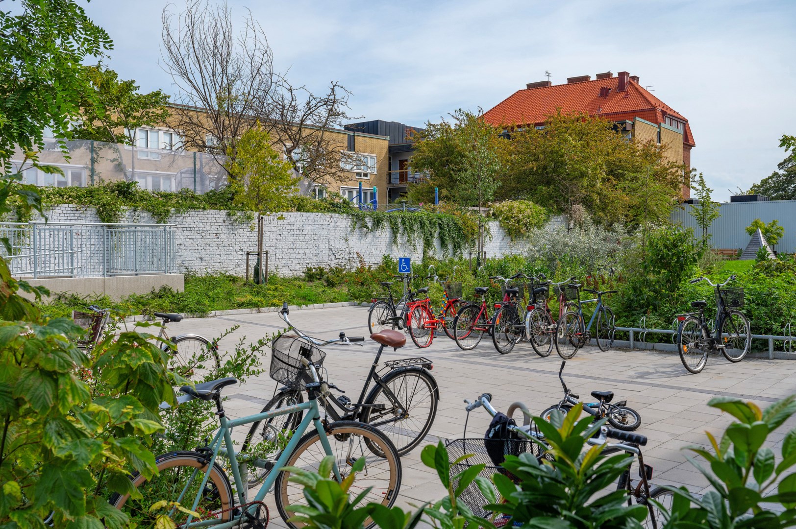 24
