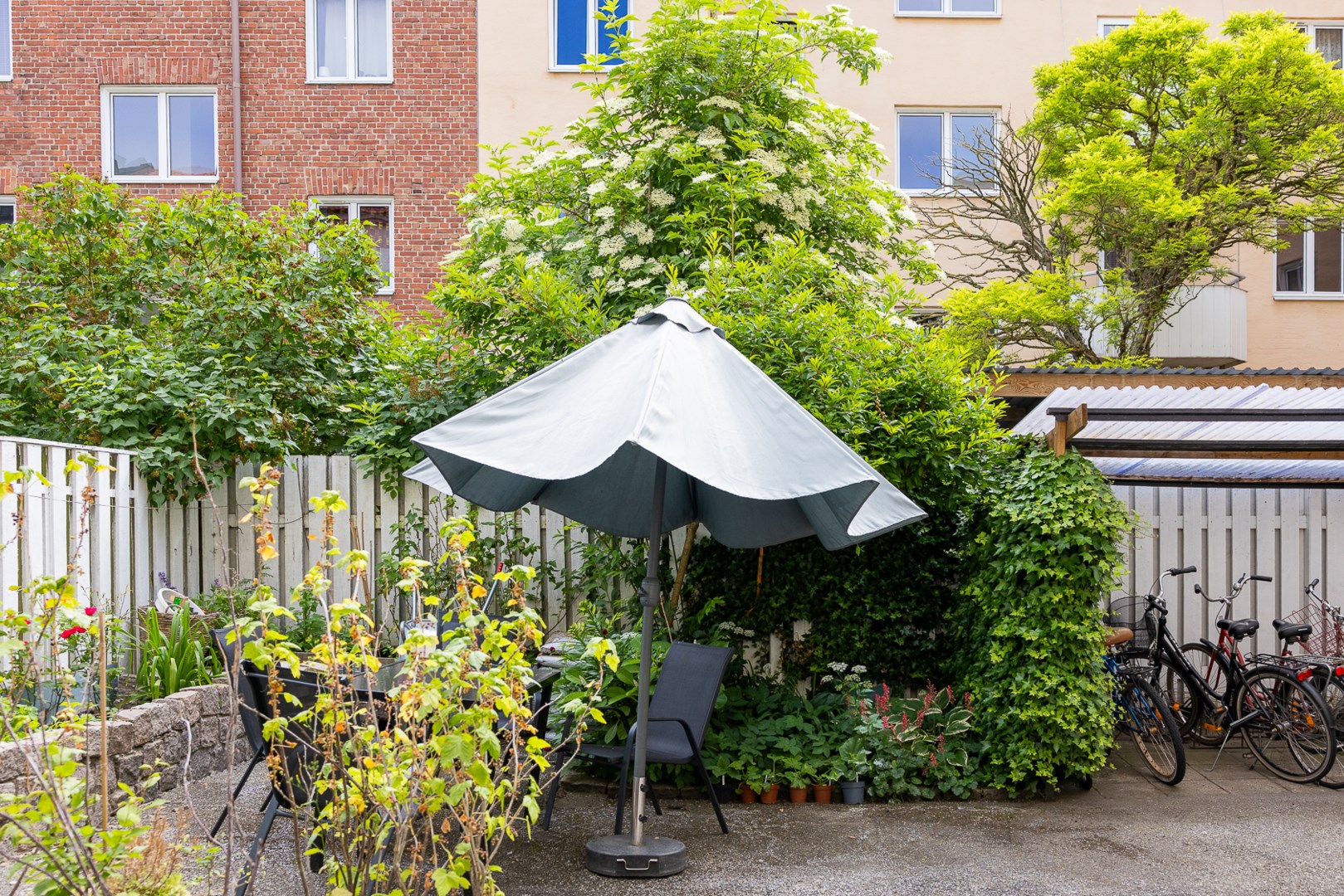26