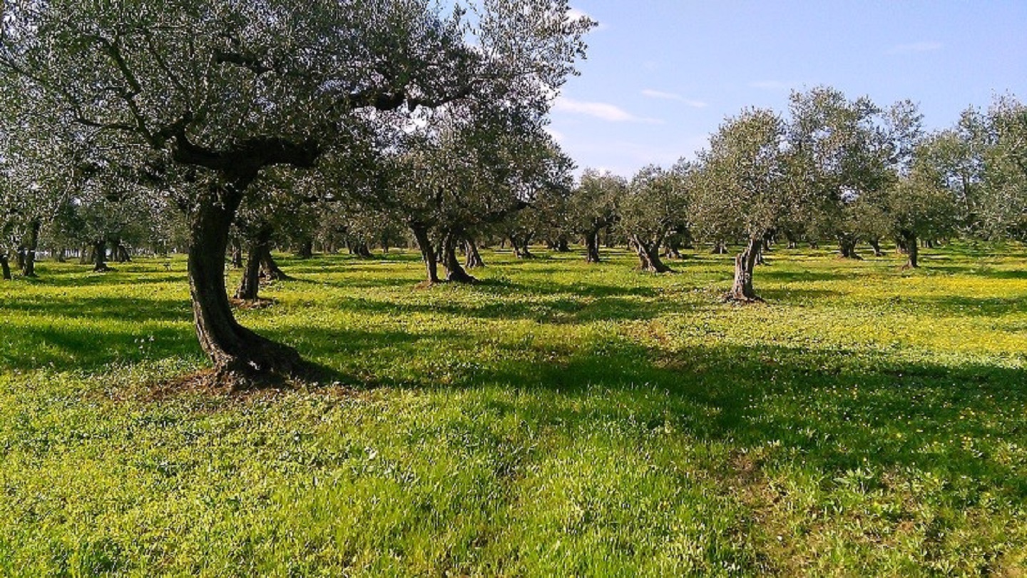 Tomt i Utlandet kommun, Italien, Manoppello, Pescara