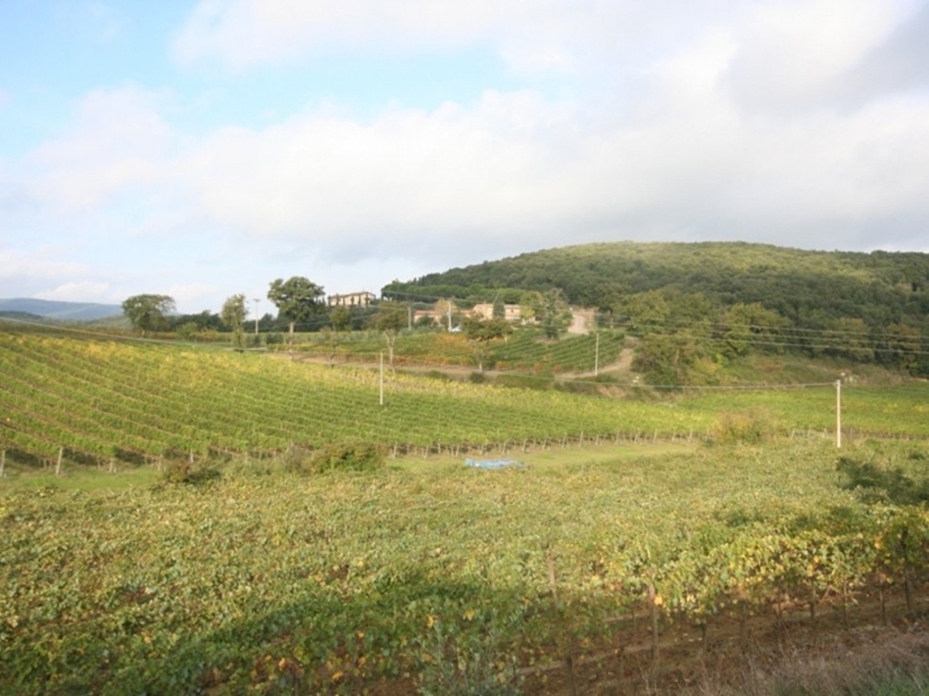 Villa i Toscana, Montalcino, Siena, Montalcino