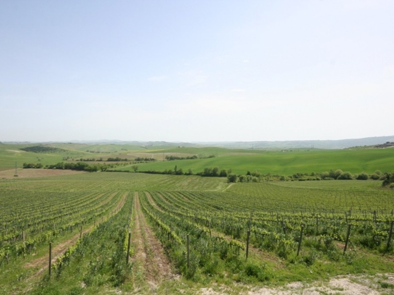 Villa i Toscana, Montalcino, Siena, Montalcino