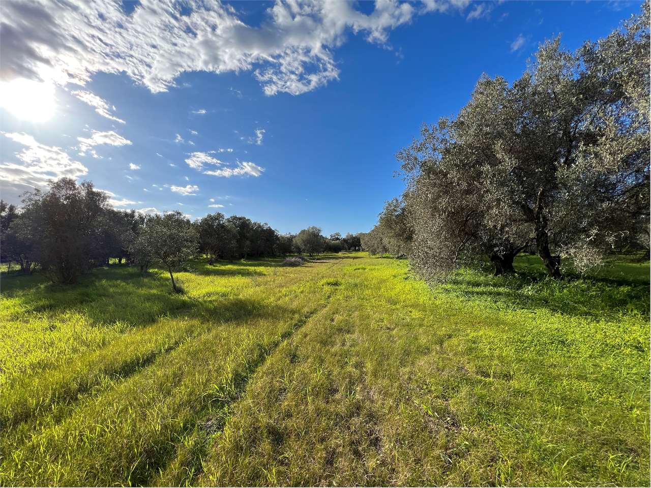 Villa i Quartucciu, Sardigna/Sardegna, Casteddu/Cagliari, Quartucciu