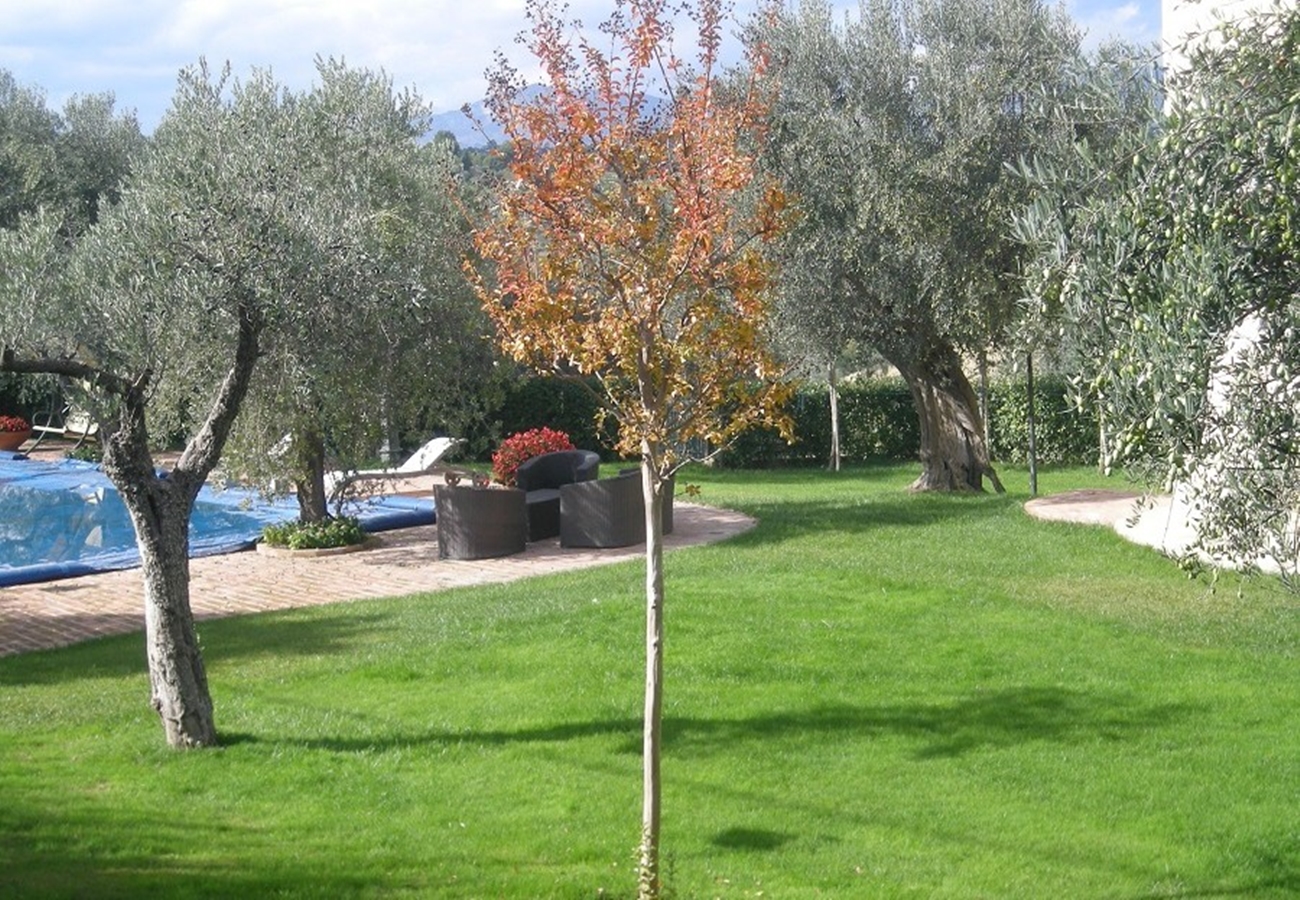 39