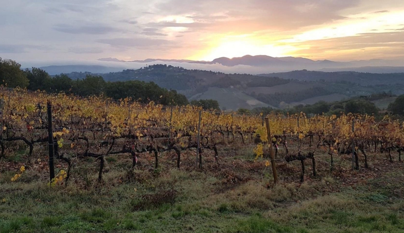 Villa i Umbrien, Amelia, Umbria, Terni, Italien, Amelia