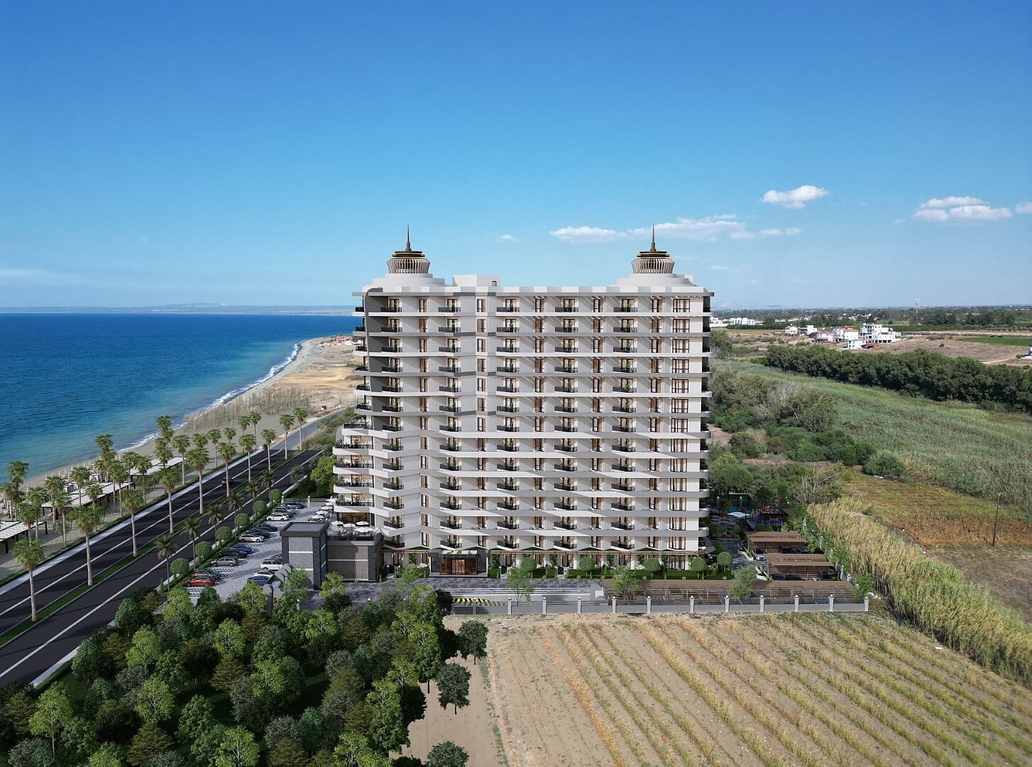24