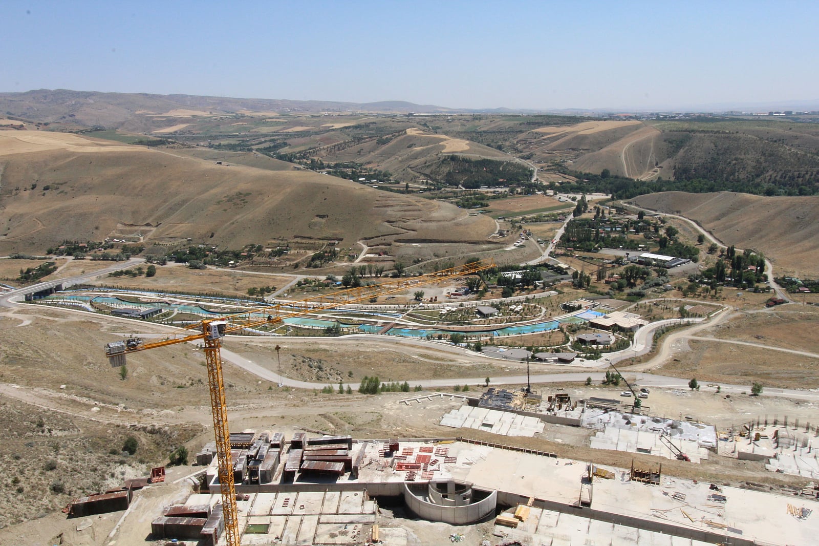 33