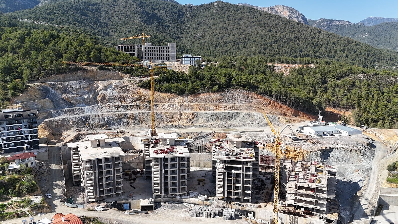 25