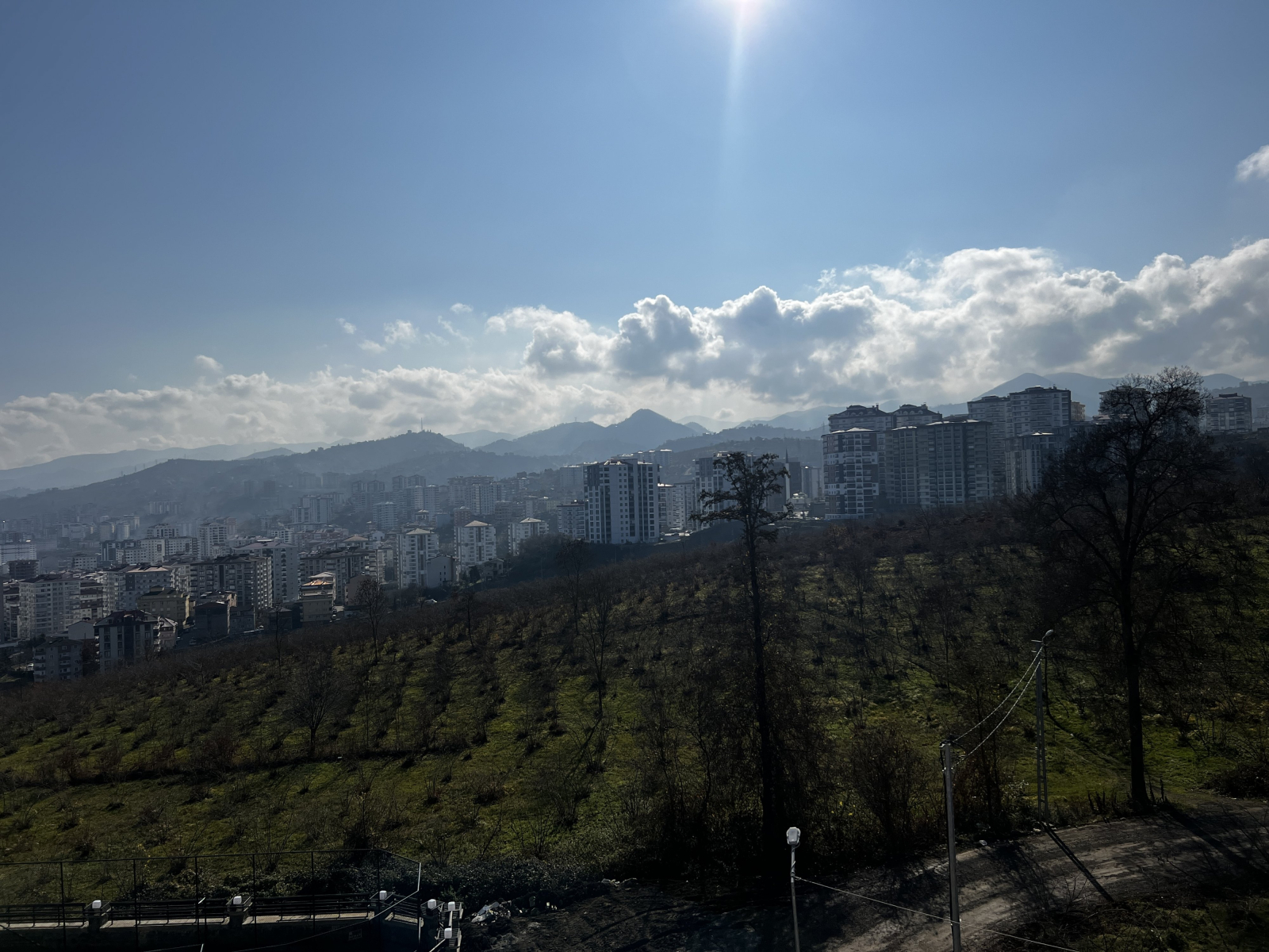 23
