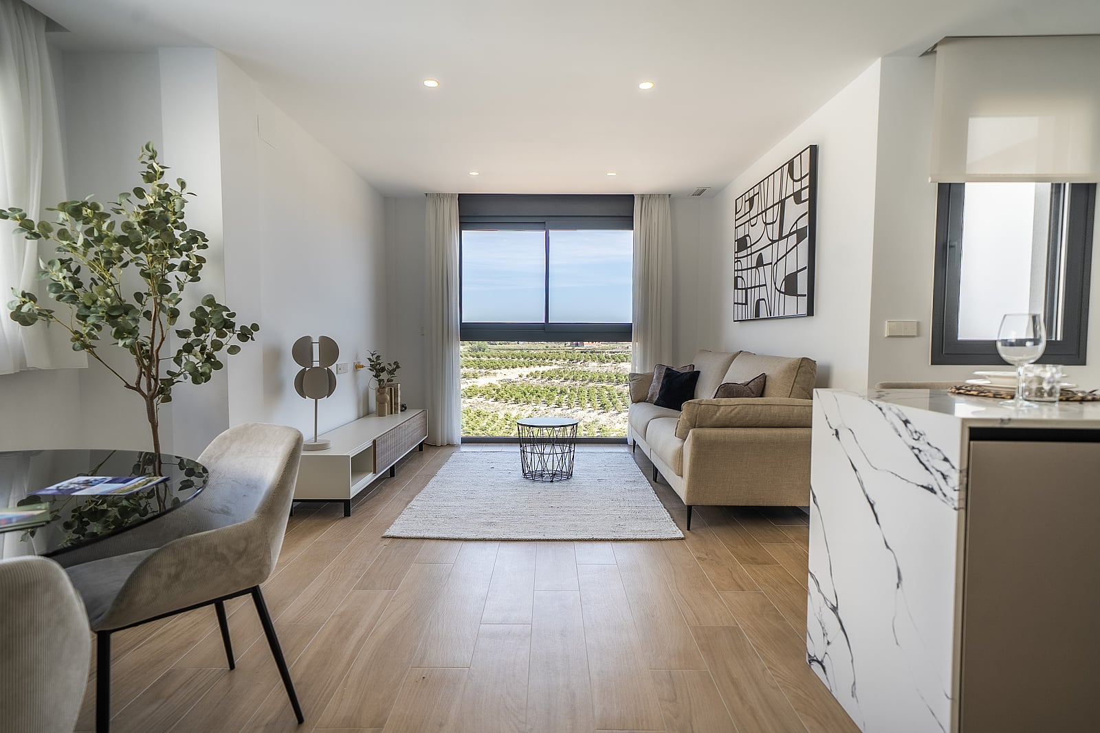 31