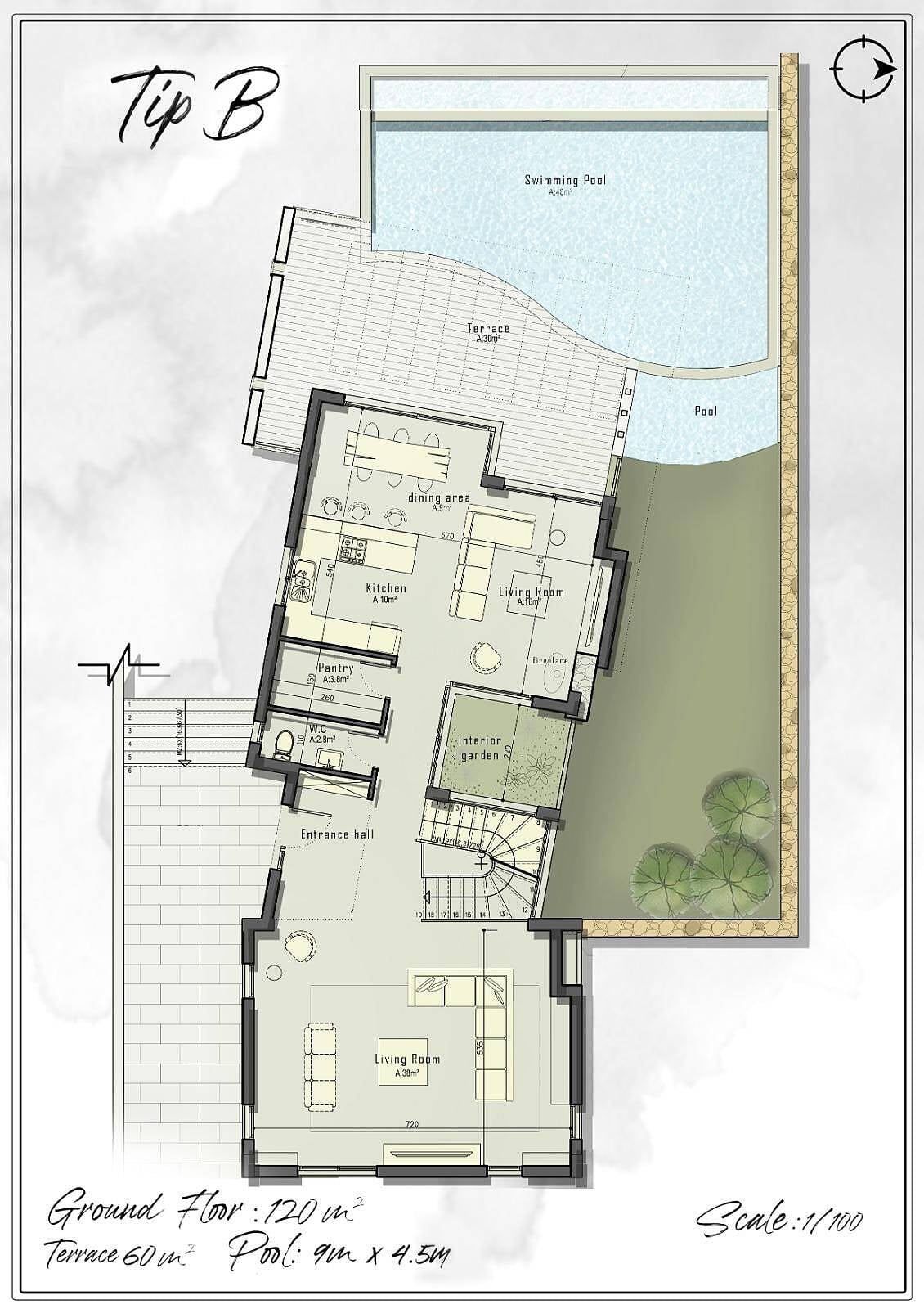 19