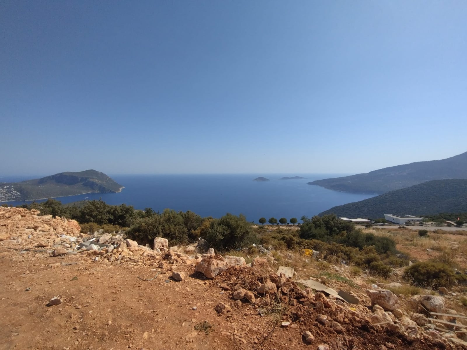 20