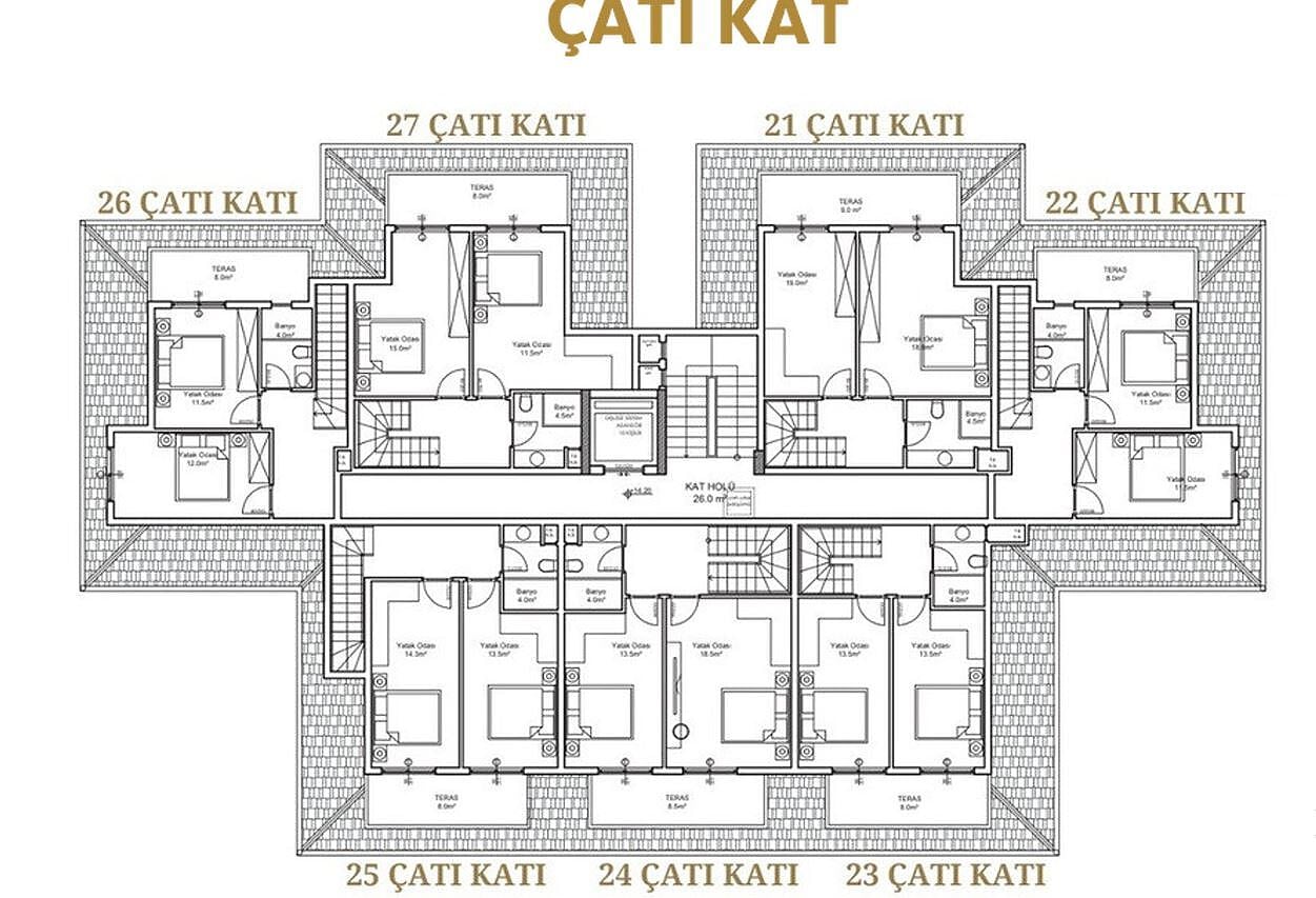 17