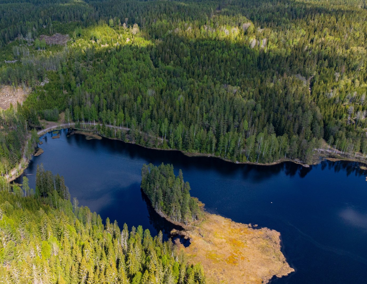 Gods och gårdar i Eda kommun, Sverige, Skogsskifte i Norra Lien - Eda