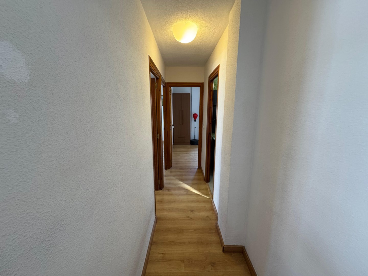 Additional Image 1