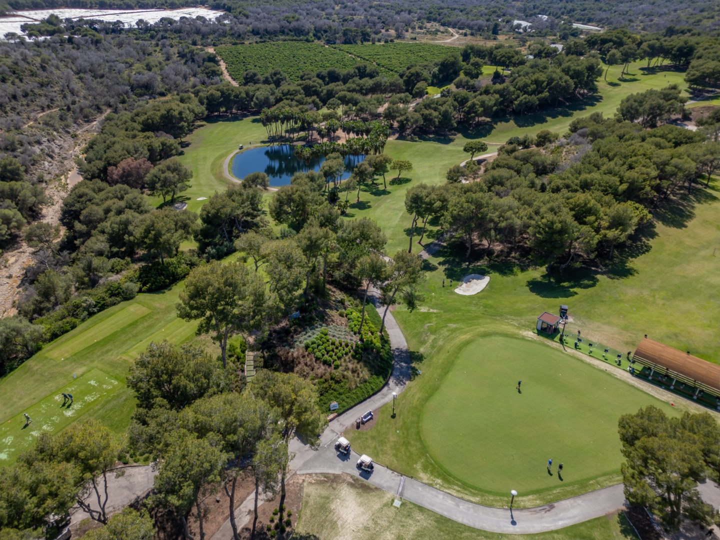 17