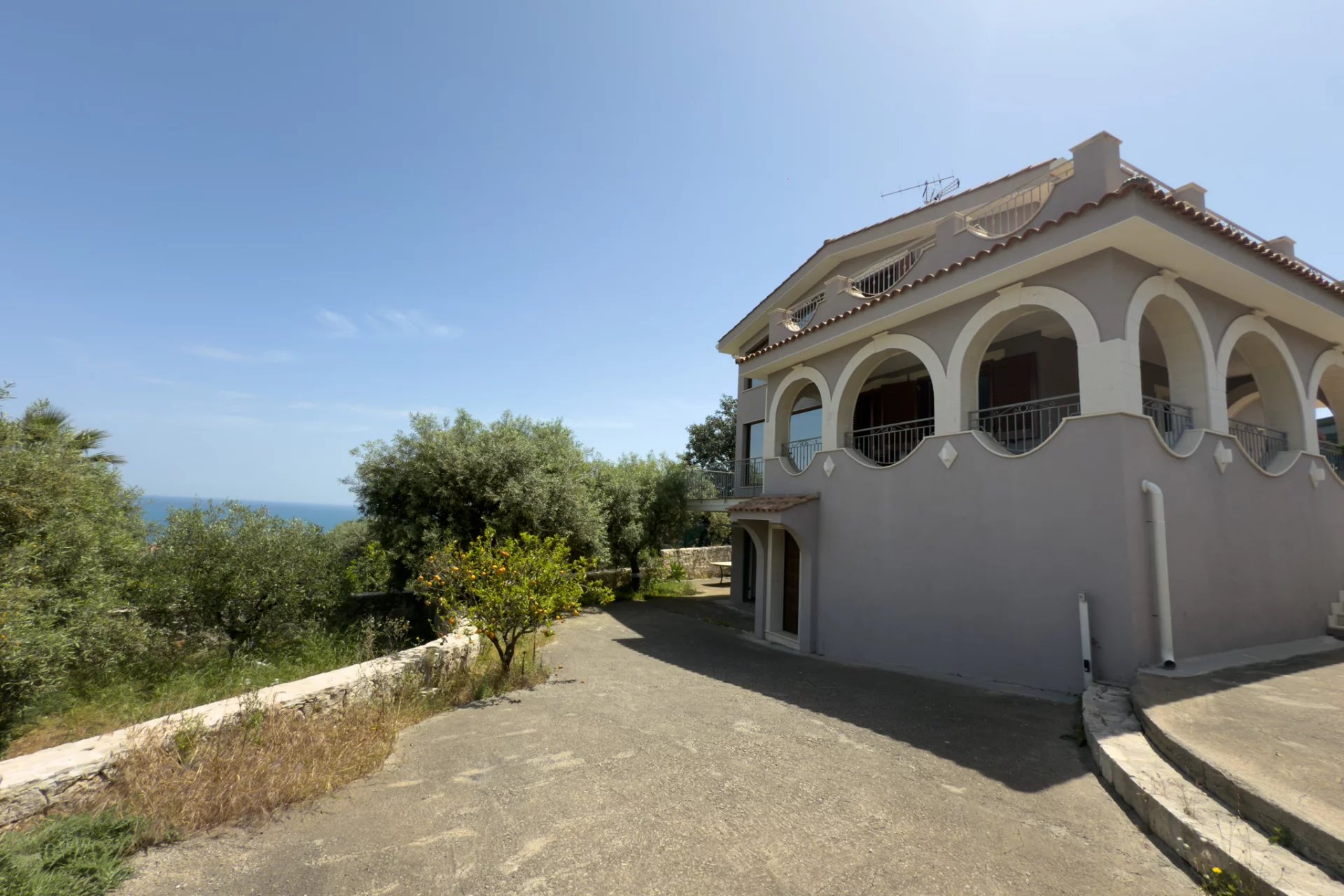 Additional Image 1