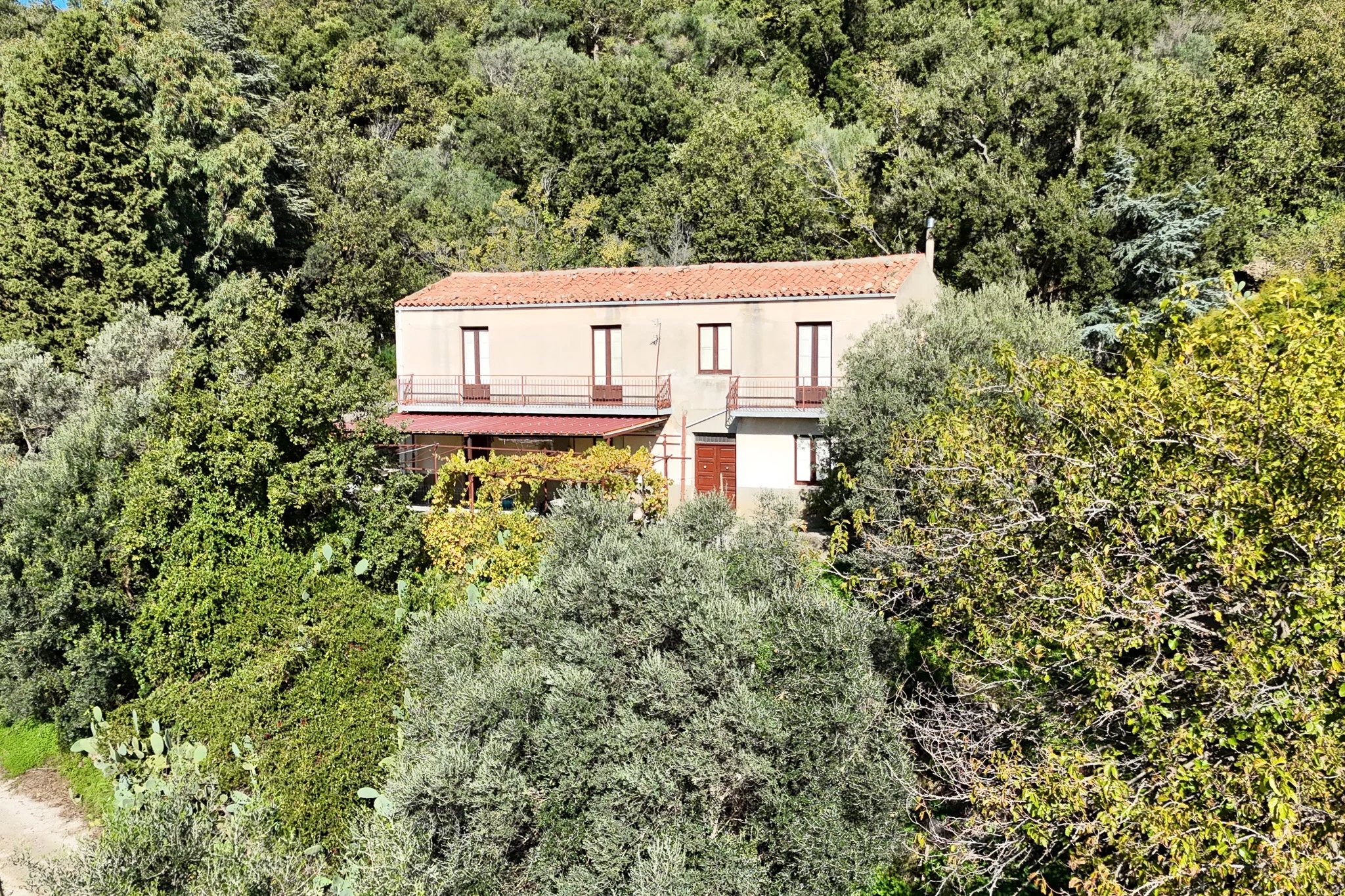 Additional Image 2