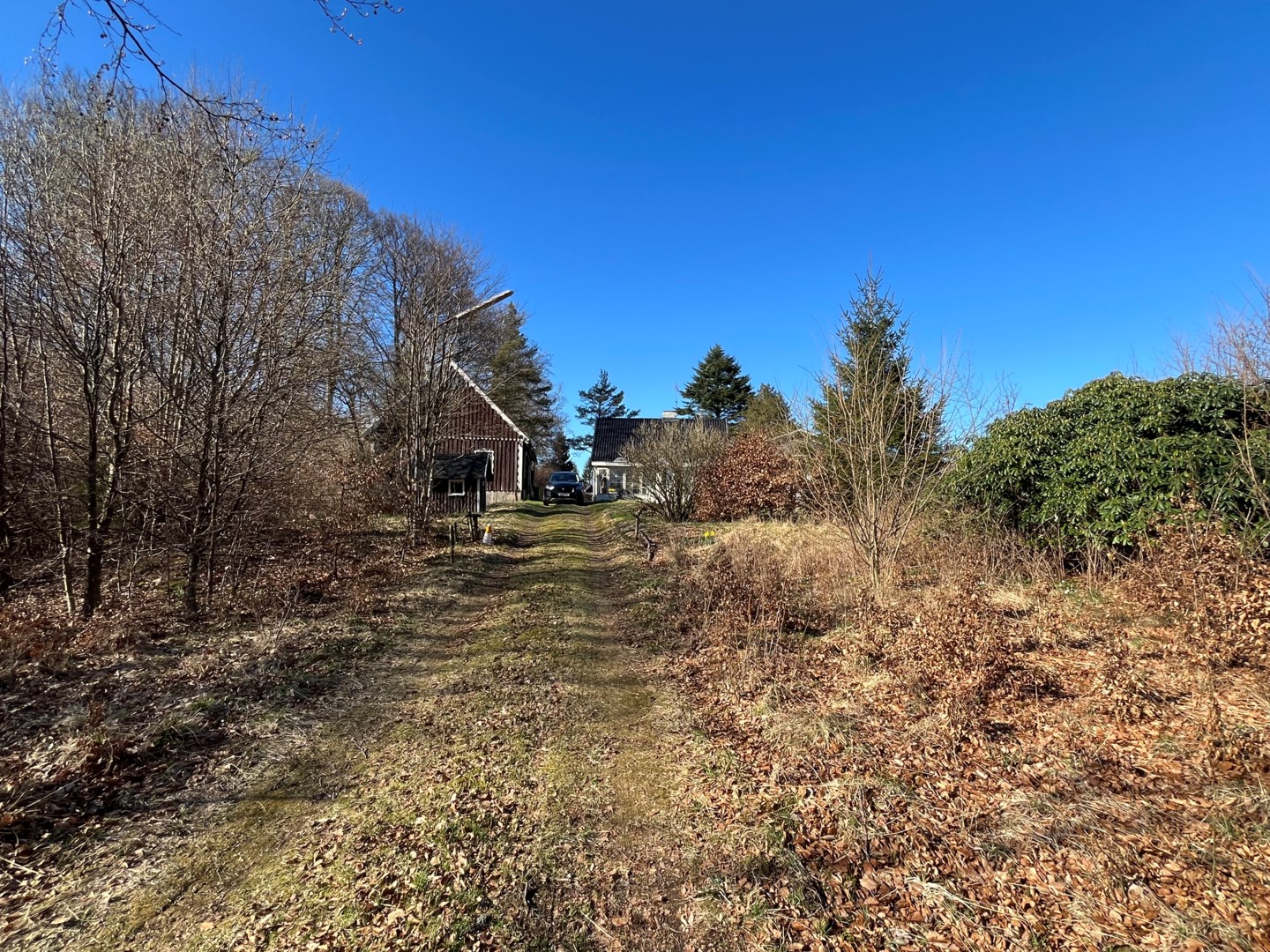 38