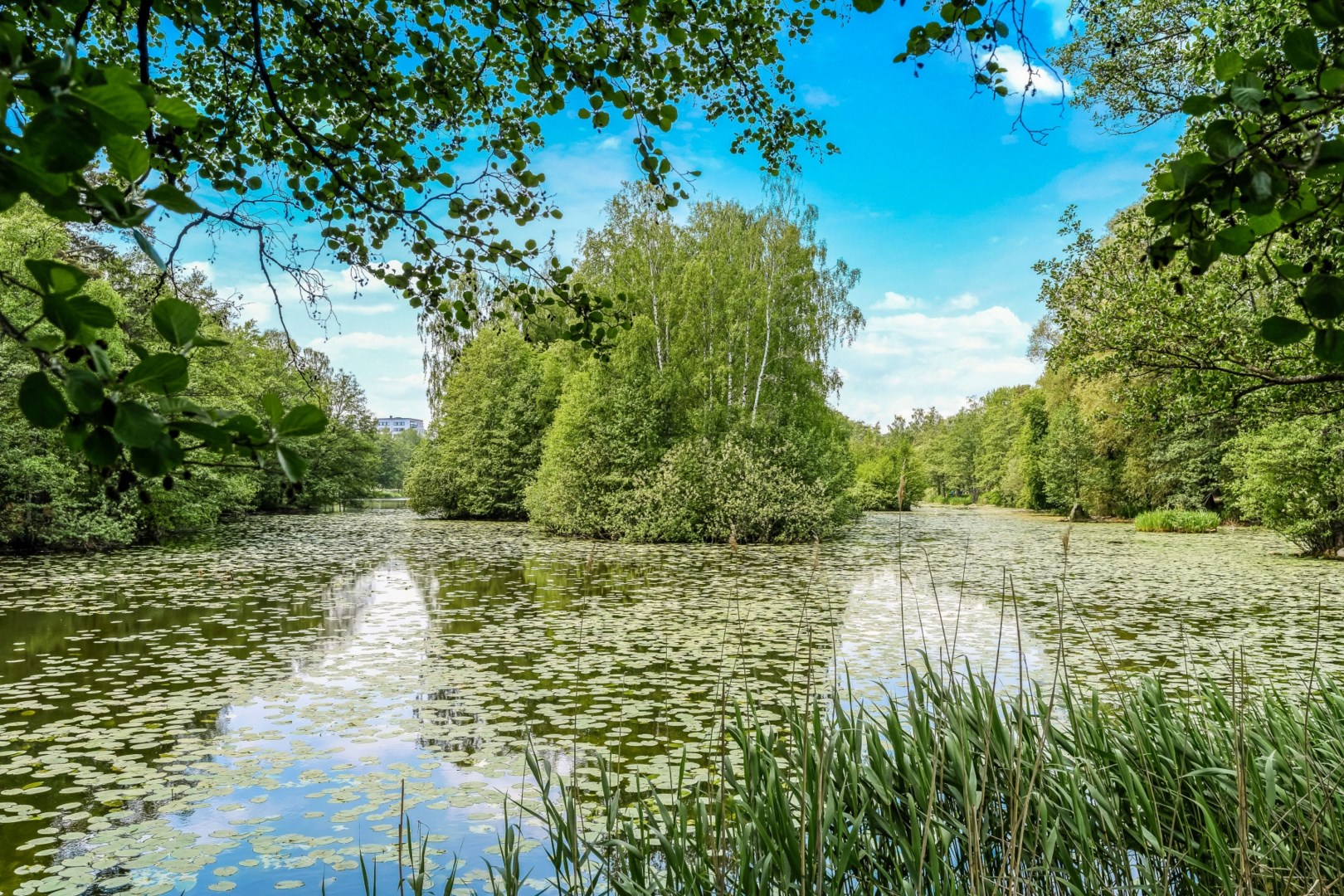 Bostadsrätt i Råsunda, Solna, Stockholm, Virebergsvägen 11