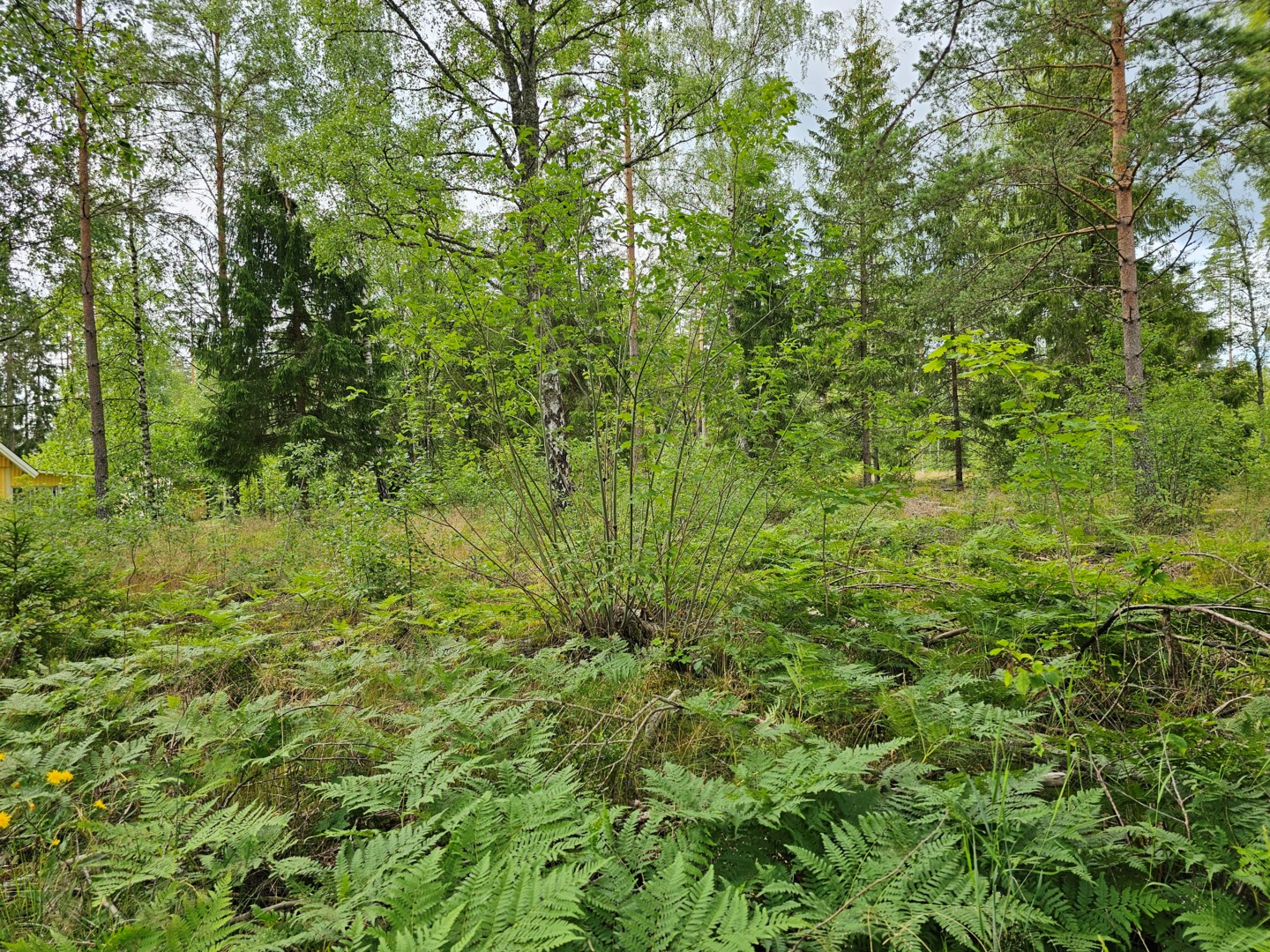 Tomt i Lessebo kommun, undefined