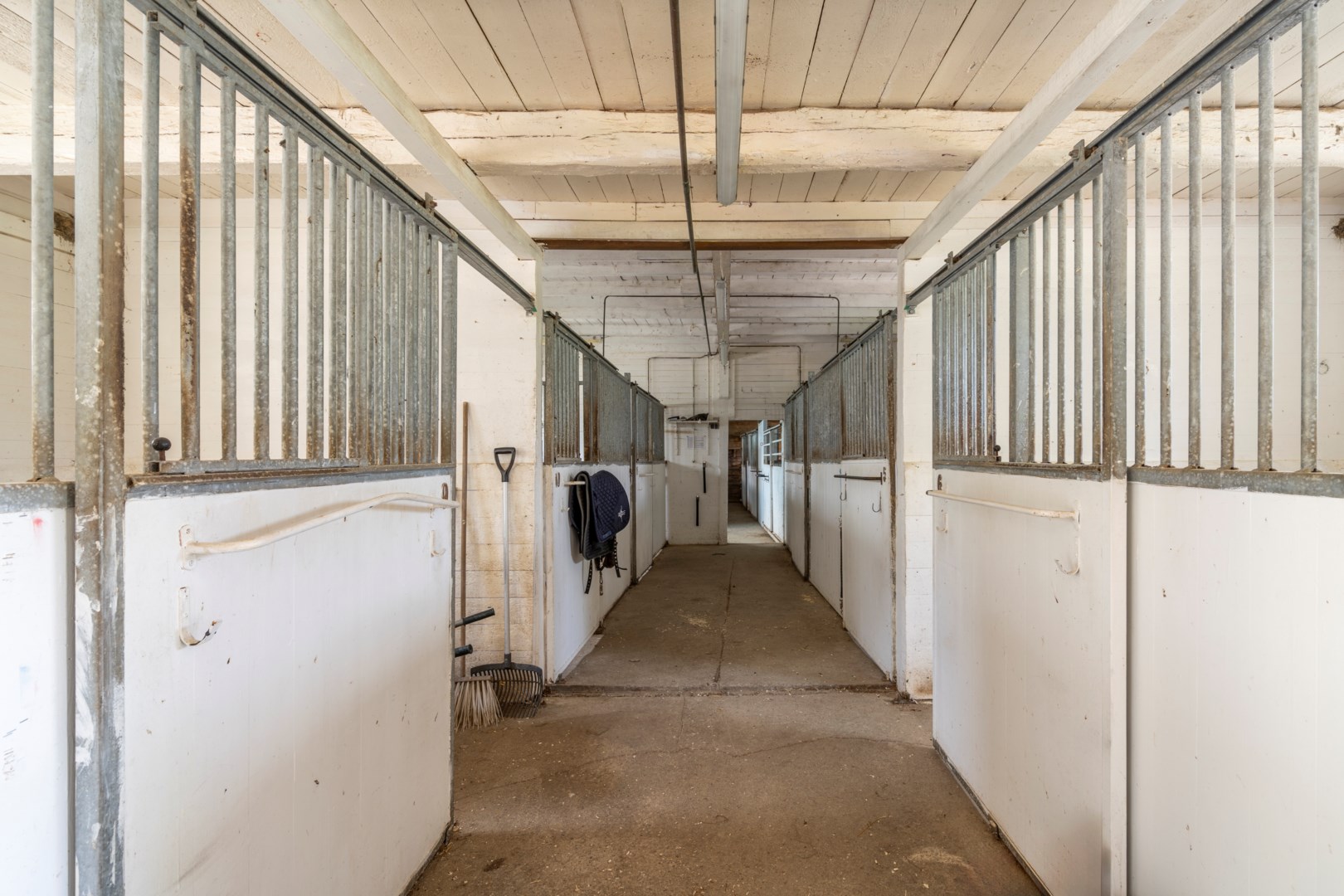 36