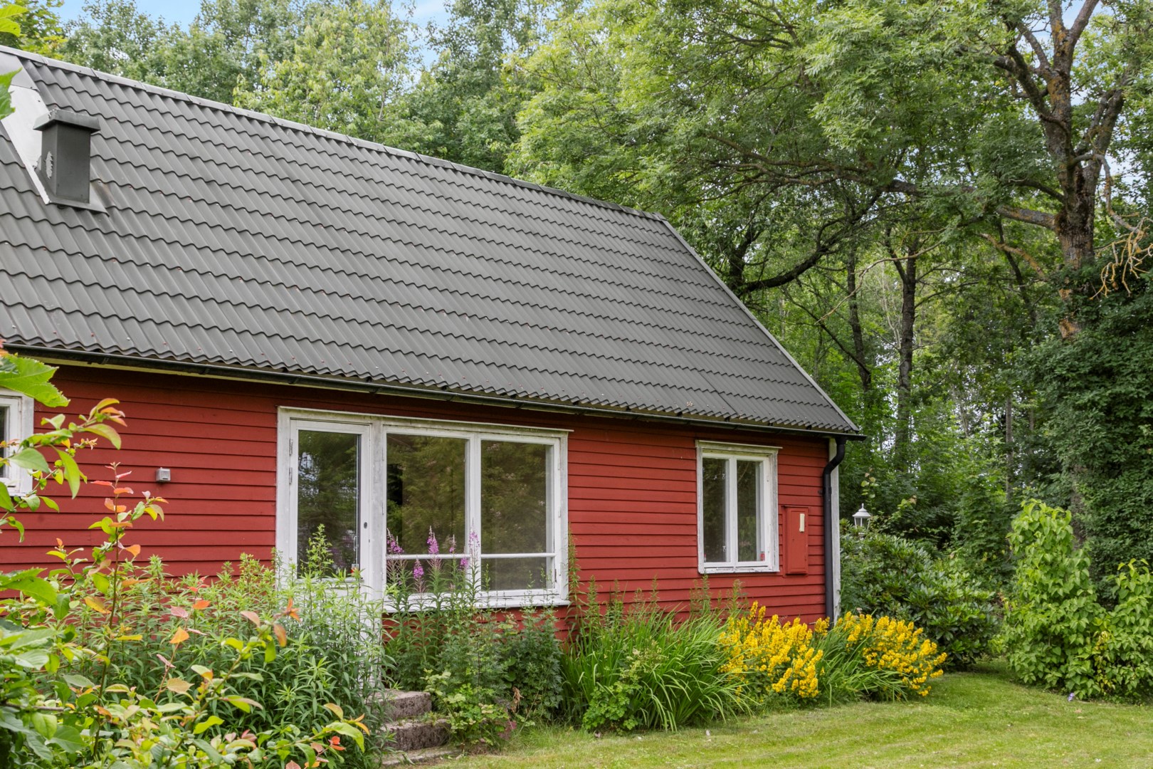 25