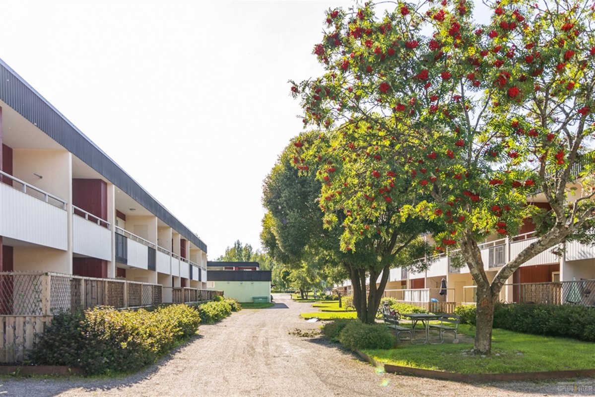 Lägenhet i Bollnäs, Gävleborg, Granbergshöjden 10B