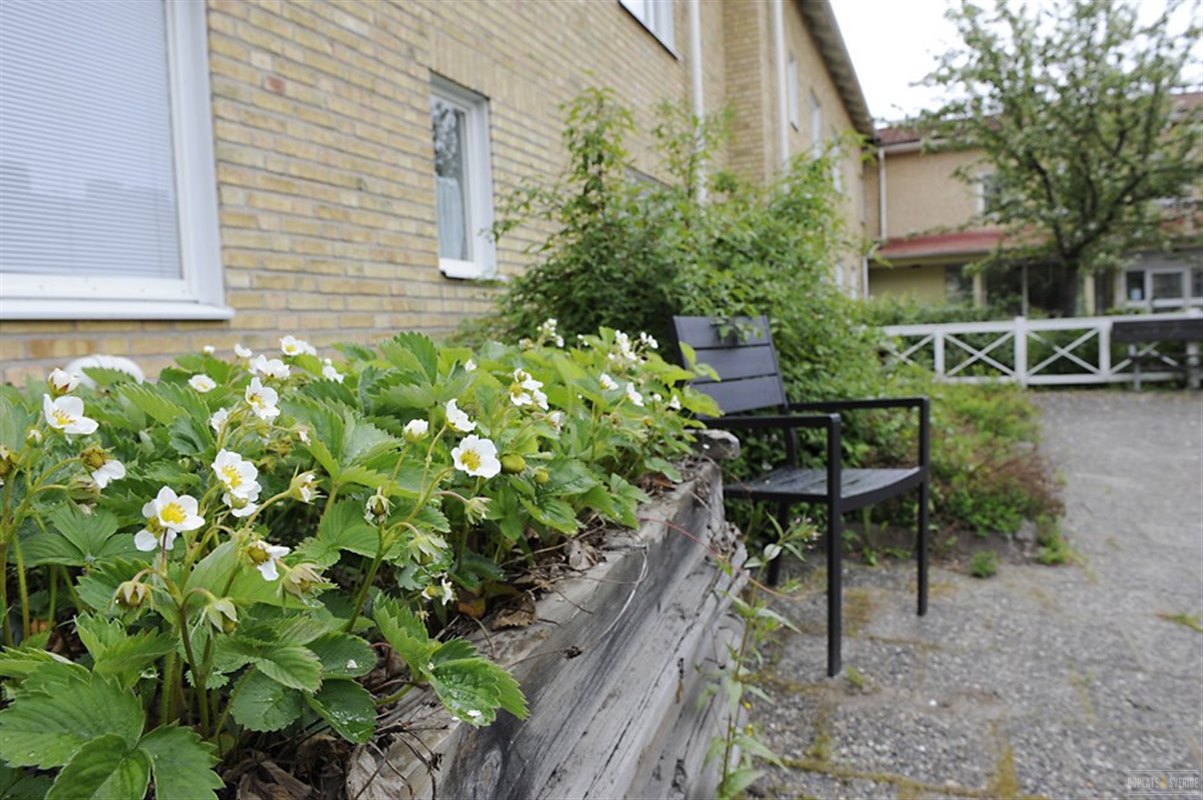 Lägenhet i Lövånger, Malå Sameby, Västerbotten, Skellefteå, Kyrkren 3