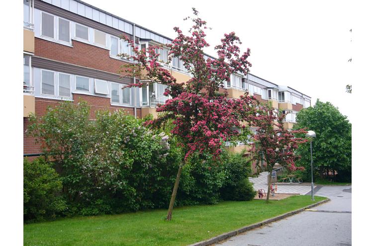 Lägenhet i Ängås, Göteborg, Västra Götaland, Briljantgatan 40