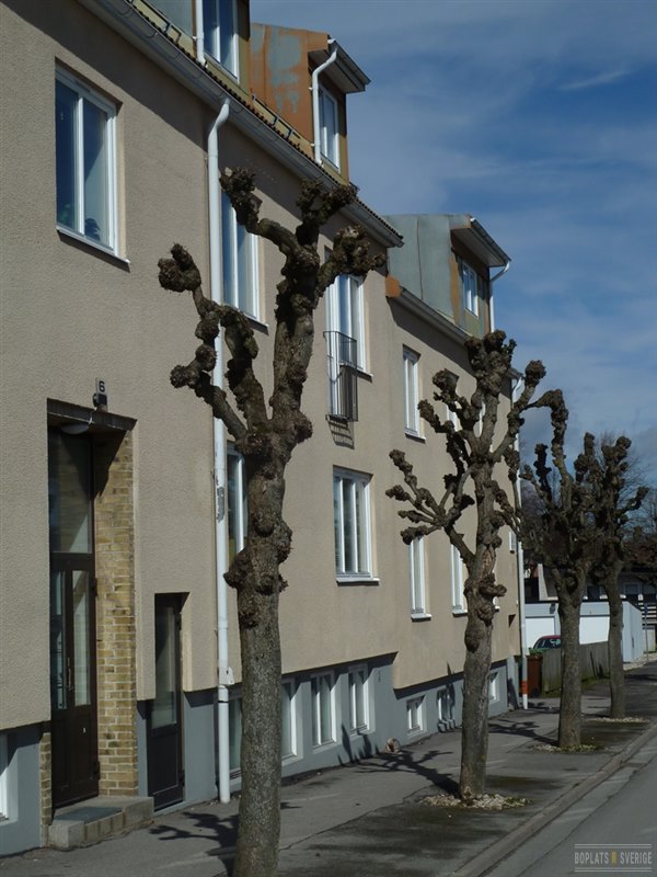 Lägenhet i Mellerud, Västra Götaland, Bergsgatan 6