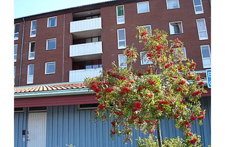 Lägenhet i Jättesten, Göteborg, Västra Götaland, Långströmsgatan 15