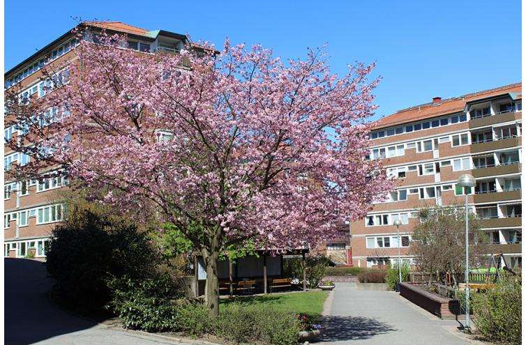 Lägenhet i Landala, Göteborg, Västra Götaland, Landalabergen 7