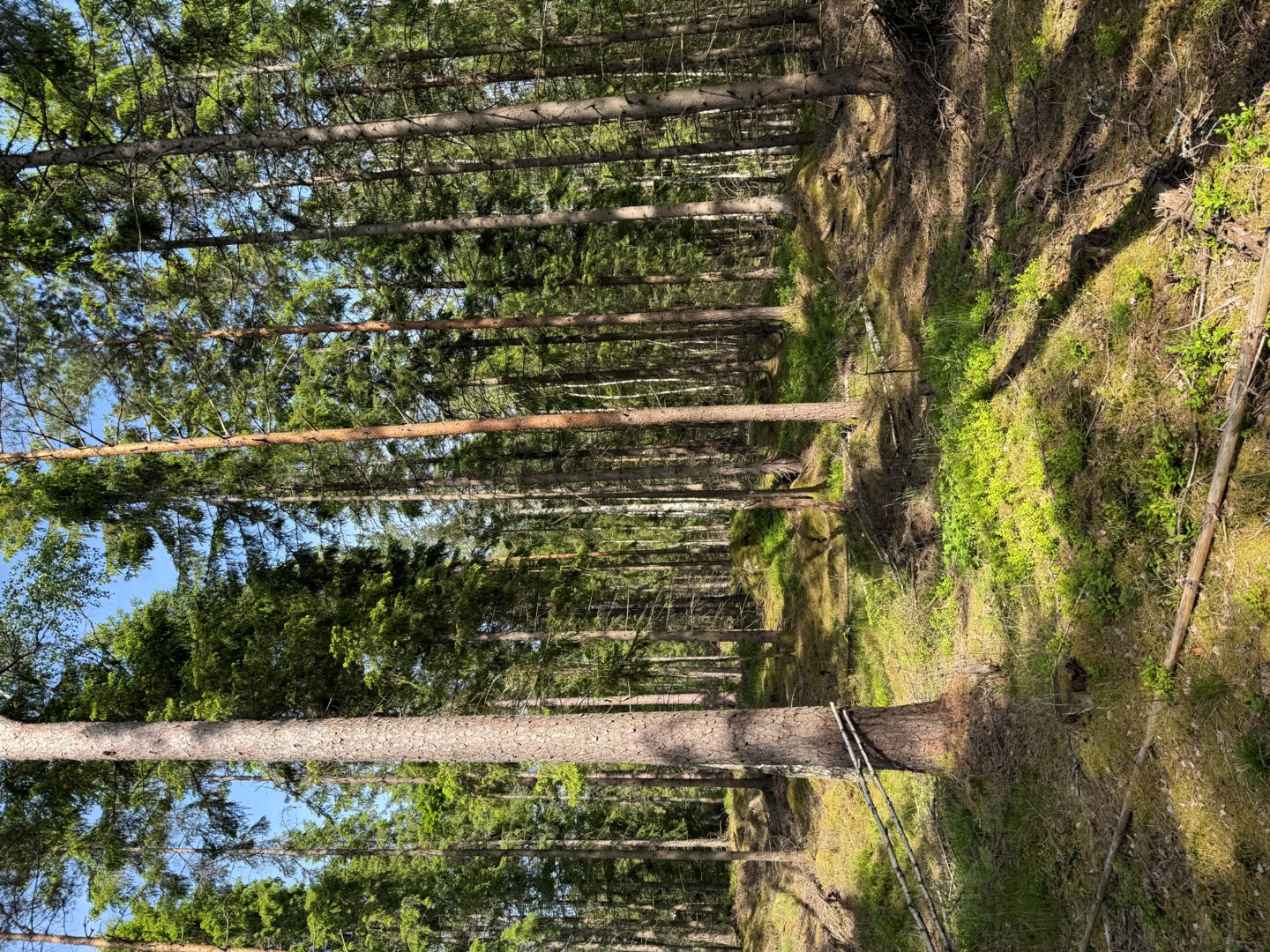 37