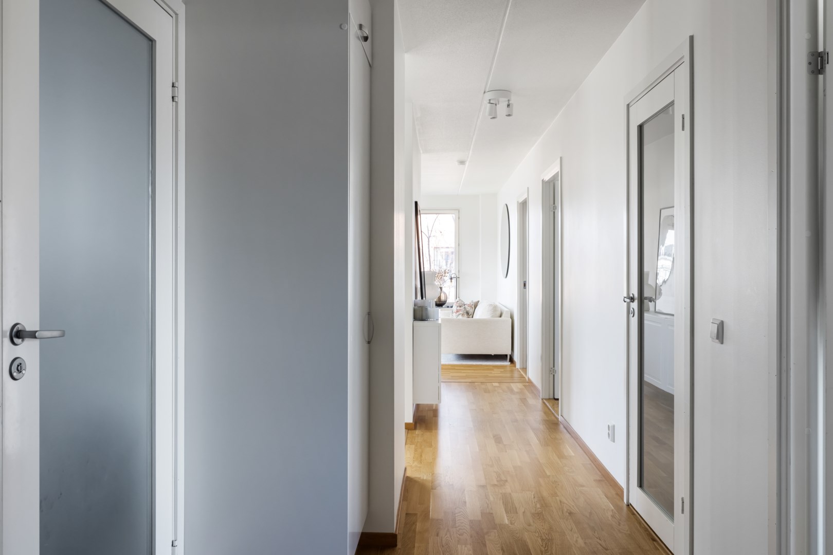 41