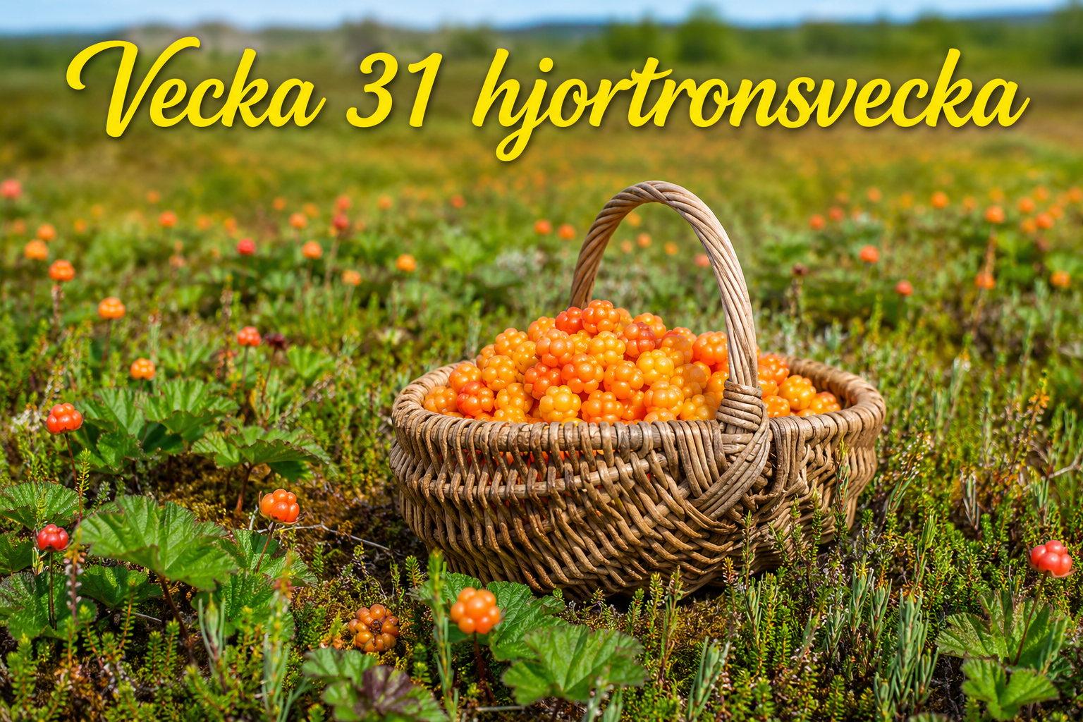 45