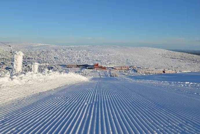 46