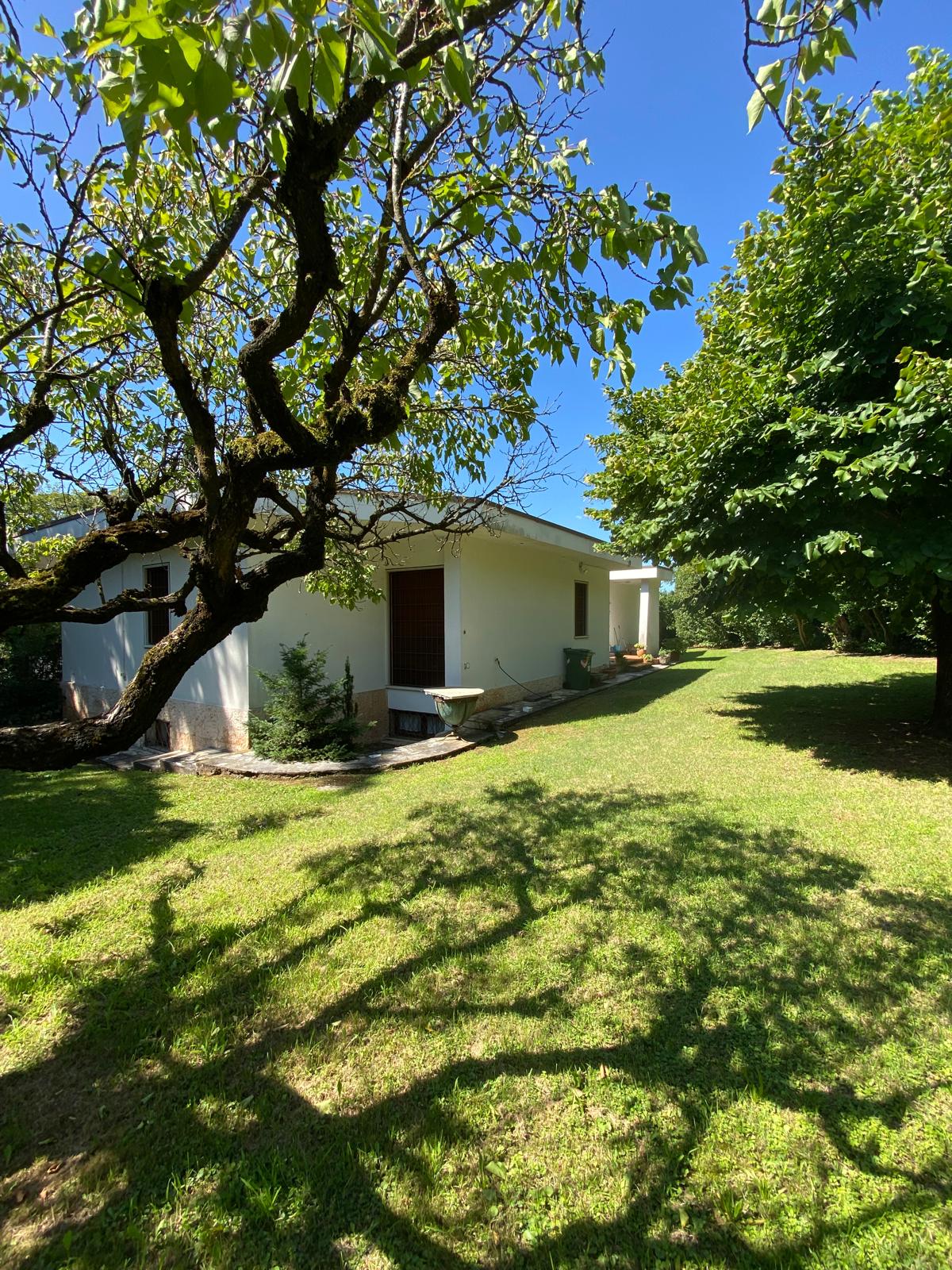 Additional Image 2