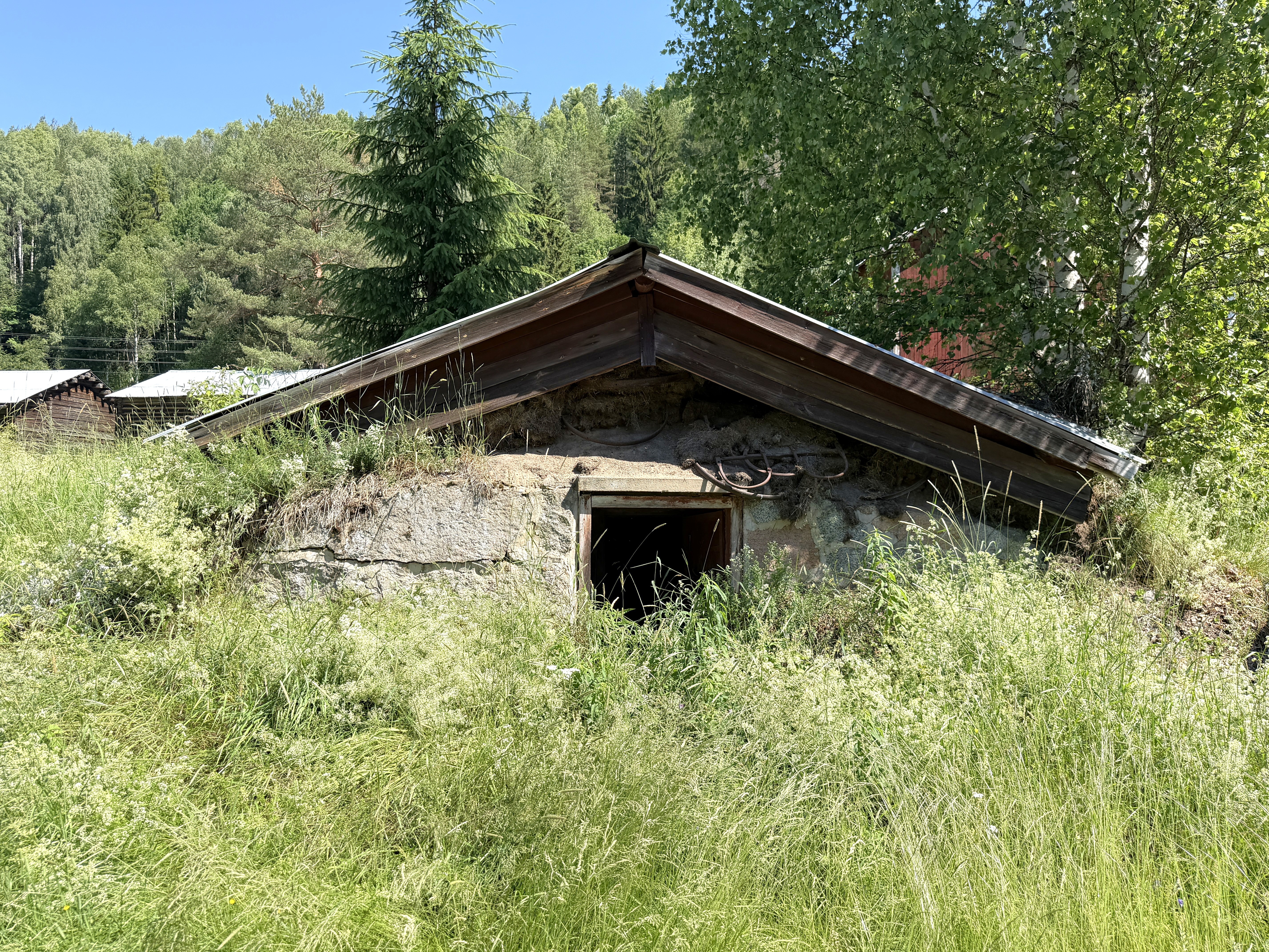 36